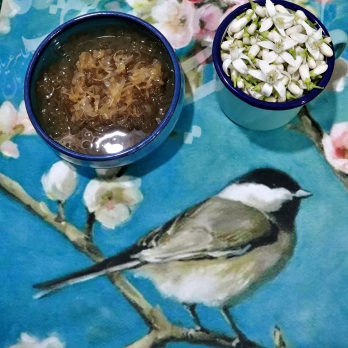 طرز تهیه مربای بهار نارنج