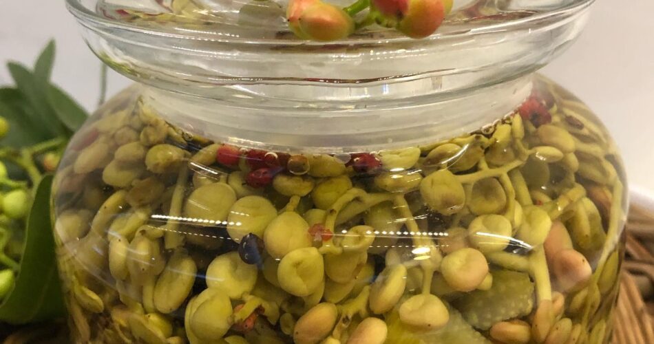 طرز تهیه ترشی بنه